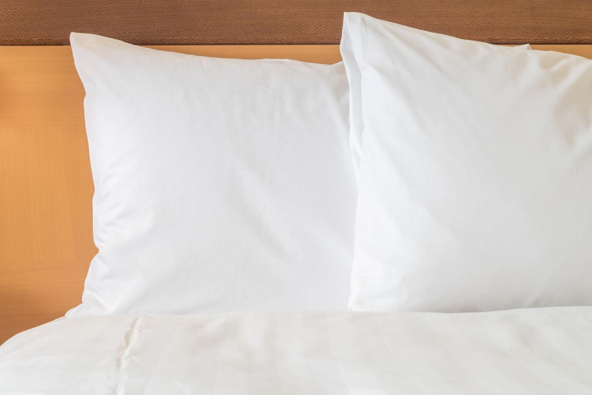 Holiday Inn Express - Bowling Green By Ihg Екстер'єр фото